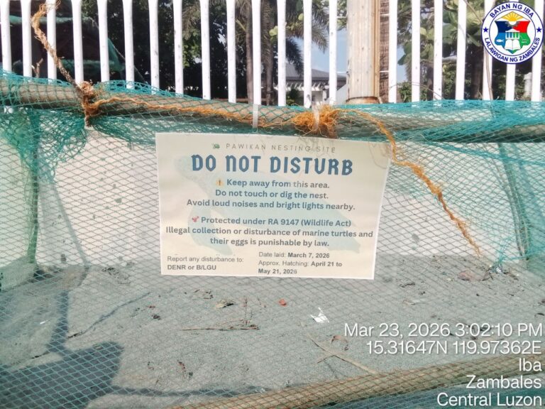 Pawikan Nest Monitoring